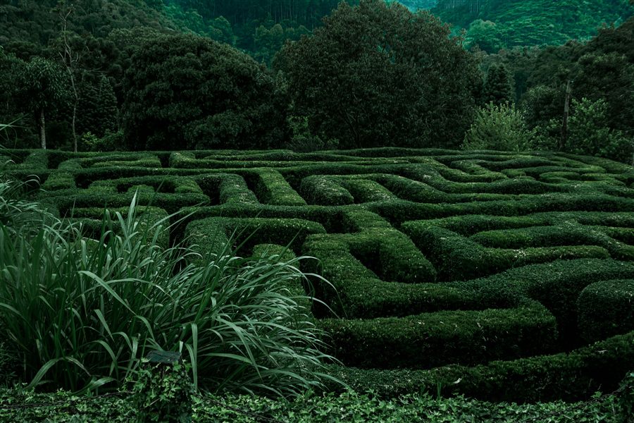Visite de labyrinthe