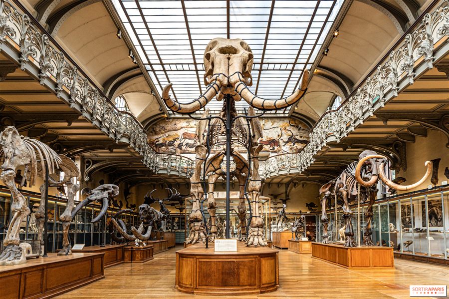 Visite du Musée